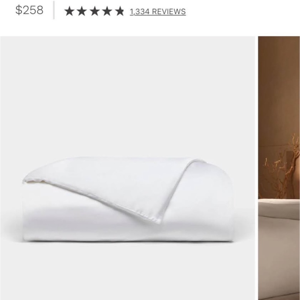 Cozy Earth Bamboo king duvet Cover